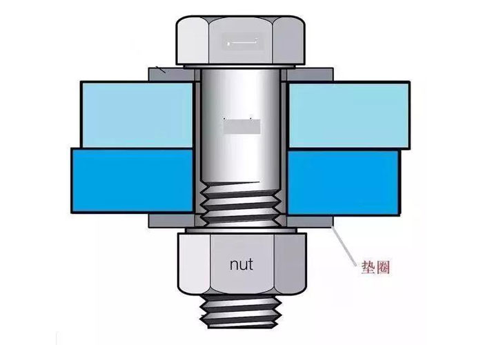What is Bolting What is Bolting